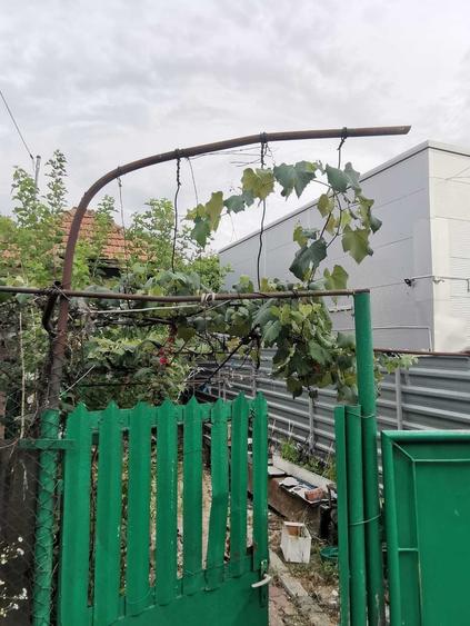 Teren de 185 mp, în Exterior Vest