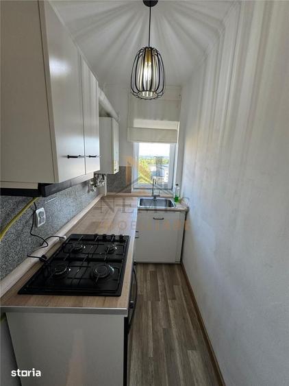 Apartament cu 2 camere în Valea Borcutului