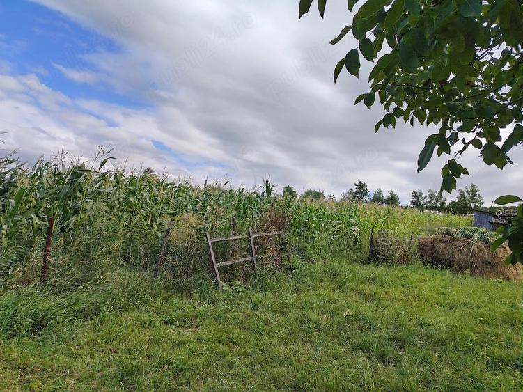 Casă cu 3 camere cu Teren 3600 Mp în Lunca