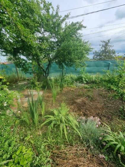 Casă individuală cu 3 camere cu Teren 2000 Mp în Cotu Văii