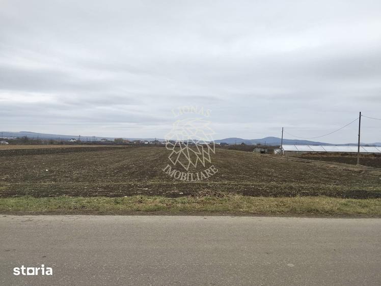 Teren de 2500 mp, în Budacu de Jos