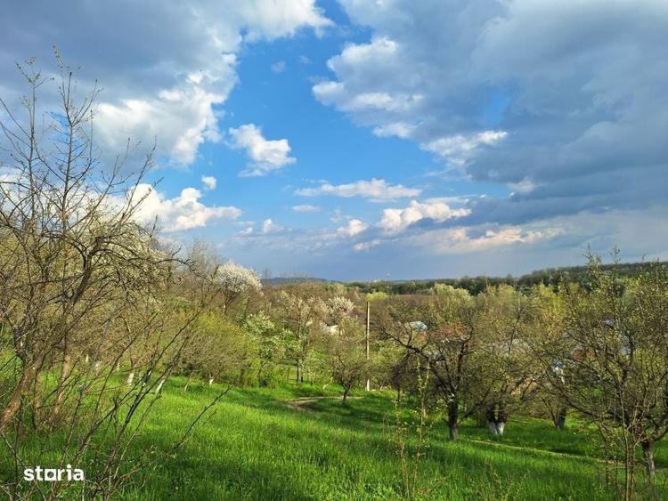 Casă cu 4 camere cu Teren 5950 Mp în Scorțeni
