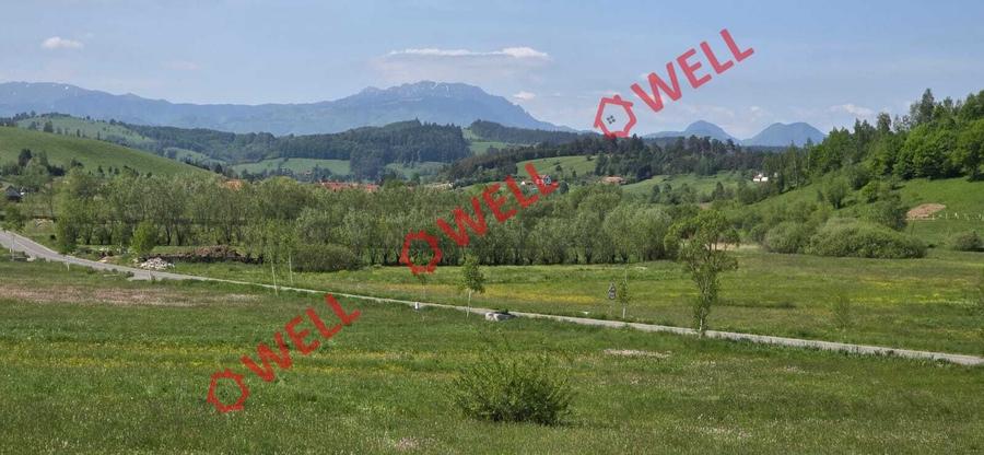Teren de vânzare în Bărcani, pe strada Bisericii! - 5