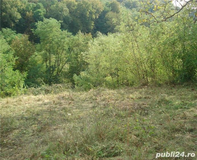 Teren de 1556 mp, în Călimănești