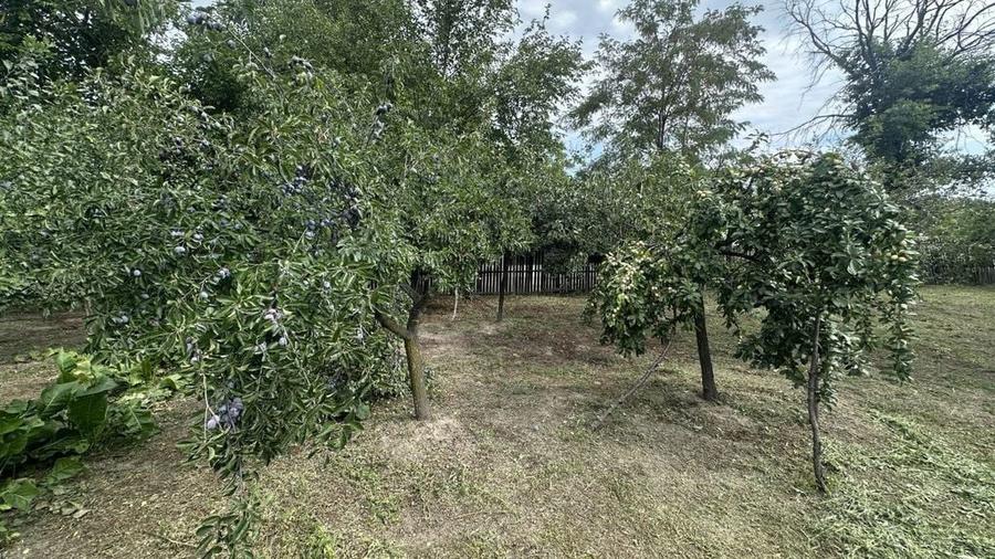 Casa traditionala+teren 1172mp intravilan in Lunca Corbul... - 4