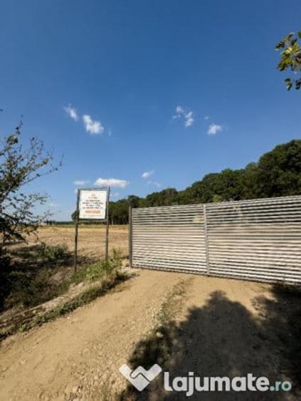 Teren de 459 mp, în Snagov