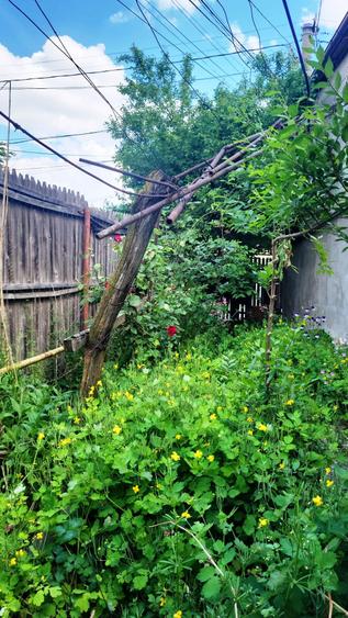 Casă individuală cu 3 camere cu Canalizare în Micro 5