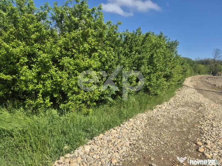 De vanzare teren la super pret in Albota, Cerbu, Arges - 1