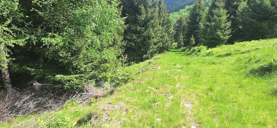 Teren de 300 mp, în Râu de Mori