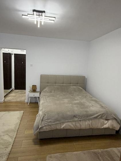Casă cu 1 camere în Craiovei