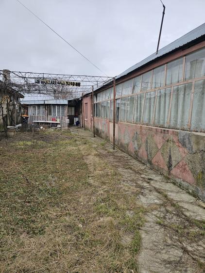 Casă cu 3 camere în Central