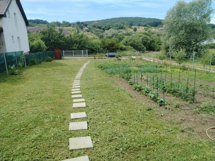 Teren Construcții intravilan de 860 mp, în Nord