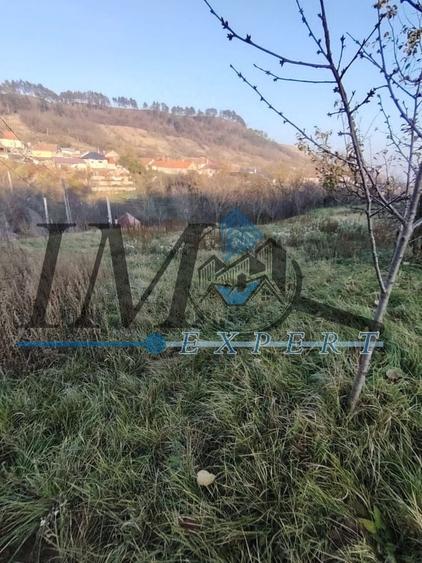 Teren Construcții intravilan de 1785 mp, în Pâclișa