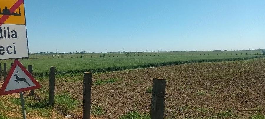 Teren de 16600 mp, în Surdila-Greci