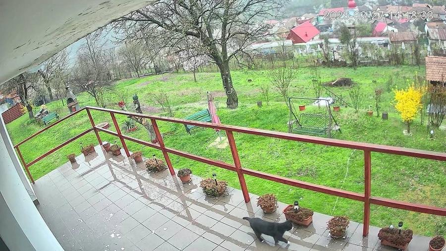 Casa cu gradina de vanzare - 2