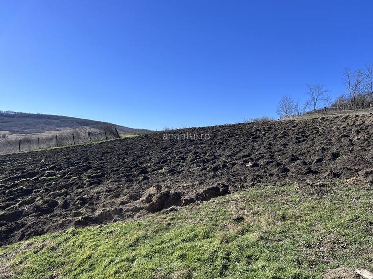 Casă cu 5 camere cu Teren 200 Mp în Central
