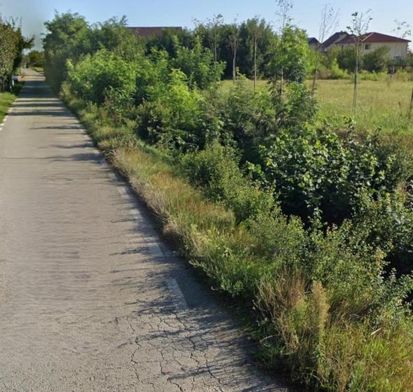 Teren Construcții intravilan de 1232 mp, în Moșnița Nouă