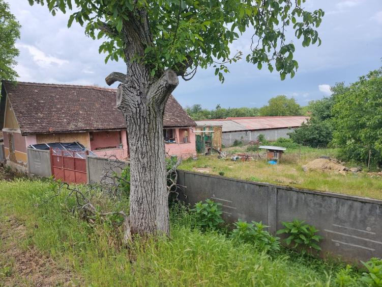 Casă cu 3 camere în Ghioroc