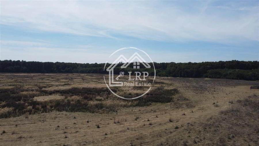 Teren Voluntari-Pipera | 3.700mp | Zonă Pădure & Școli Internaționale - 7