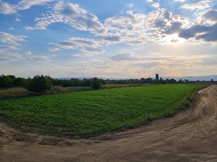 Teren de 7396 mp, în Bizighești