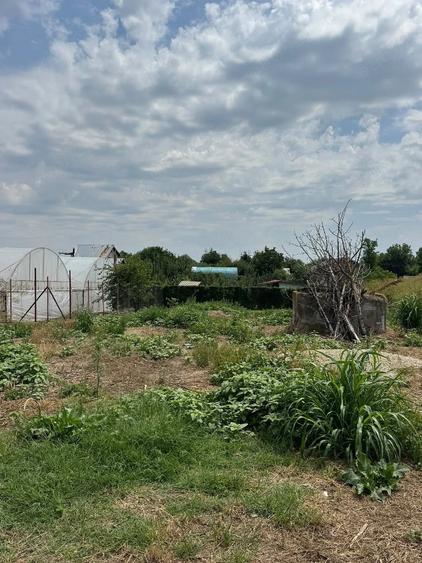 Teren de 1270 mp, în Tămădău Mare