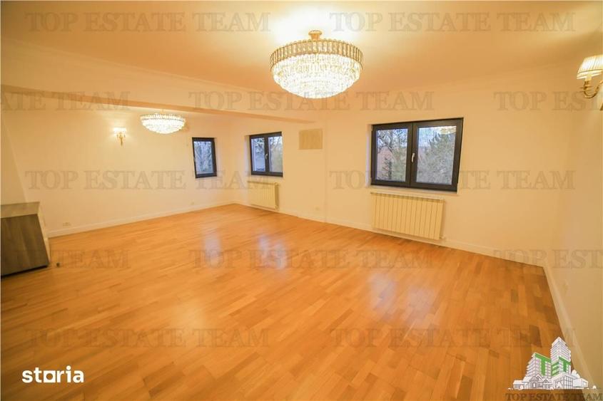 Vila pretabila rezidentaoffice Iancu Nicolae | Bulevard - 4