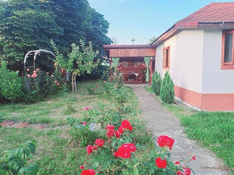 Casa de vanzare-Sat Profa Deal(35km de pitesti) - 10