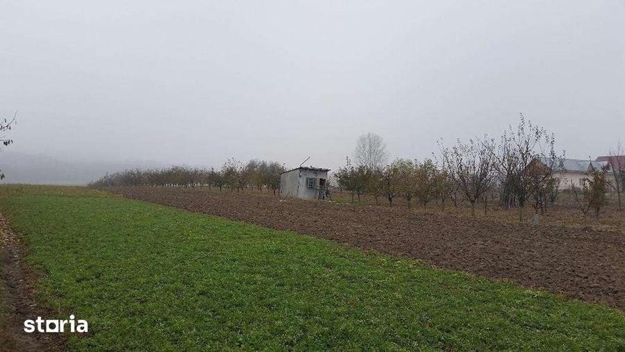 Casă cu Teren 1700 Mp în Mitocu Dragomirnei