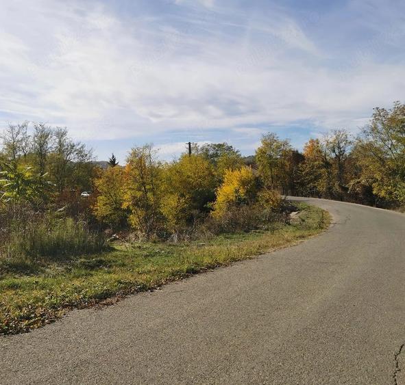 Teren de 2500 mp, în Vitioara de Sus