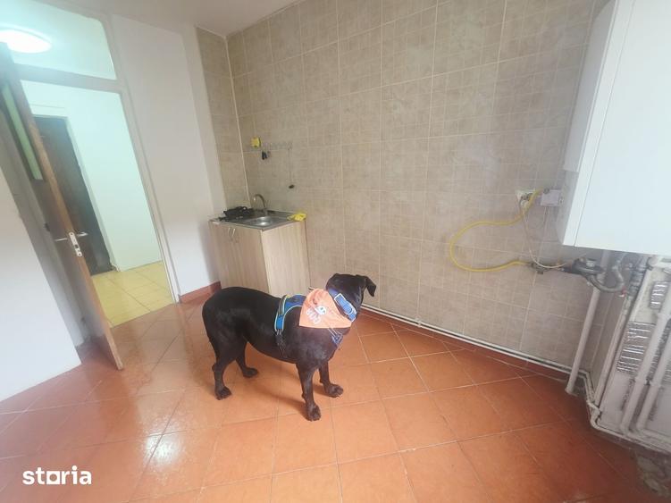 Apartament cu 2 camere decomandat în Tractorul