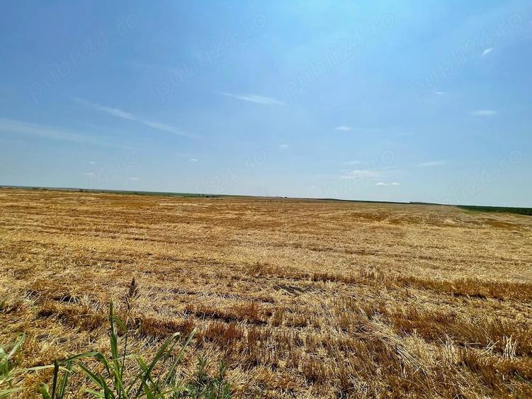 Teren de 103 mp, în Biled