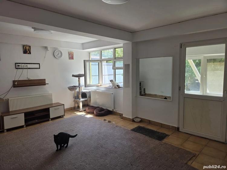 Duplex sau Teren popesri leordeni - 2