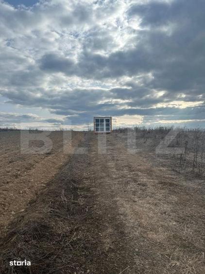 Teren de 3932 mp, în Florești