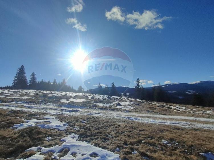 Teren agricol extravilan de 5609 mp, în Gura Râului