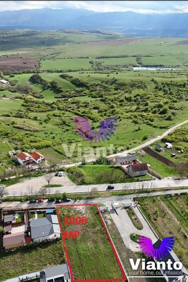 Teren Construcții intravilan de 650 mp, în Daia