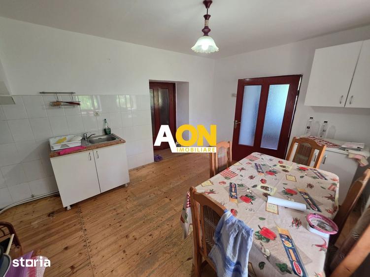 Casă cu 3 camere cu Teren 7050 Mp în Pianu