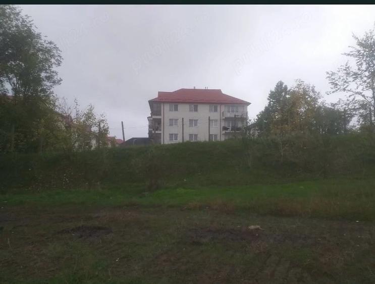 teren dorohoi botosani - 3