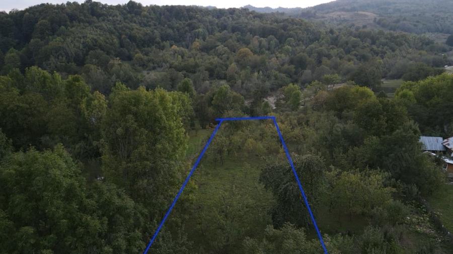 Teren de 2200 mp, în Adunați