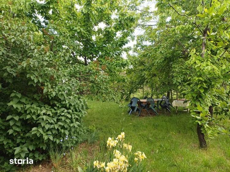 Casă cu 4 camere cu Teren 148 Mp în Calea Aradului