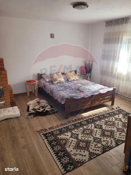 Casă cu 4 camere cu Teren 16499 Mp în Baia de Fier