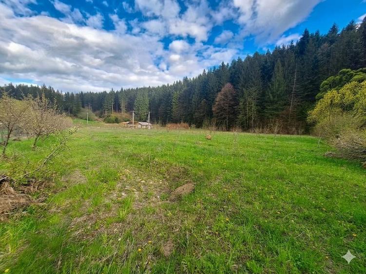 Teren de 21000 mp, în Slatina