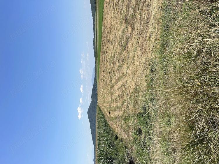 Teren de 5000 mp, în Hărman