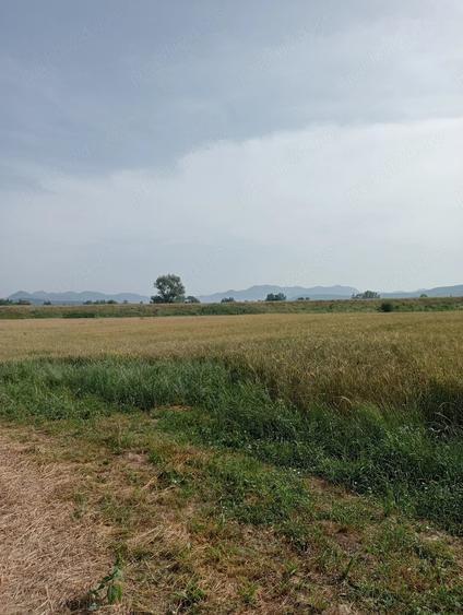 Teren de 6600 mp, în Central
