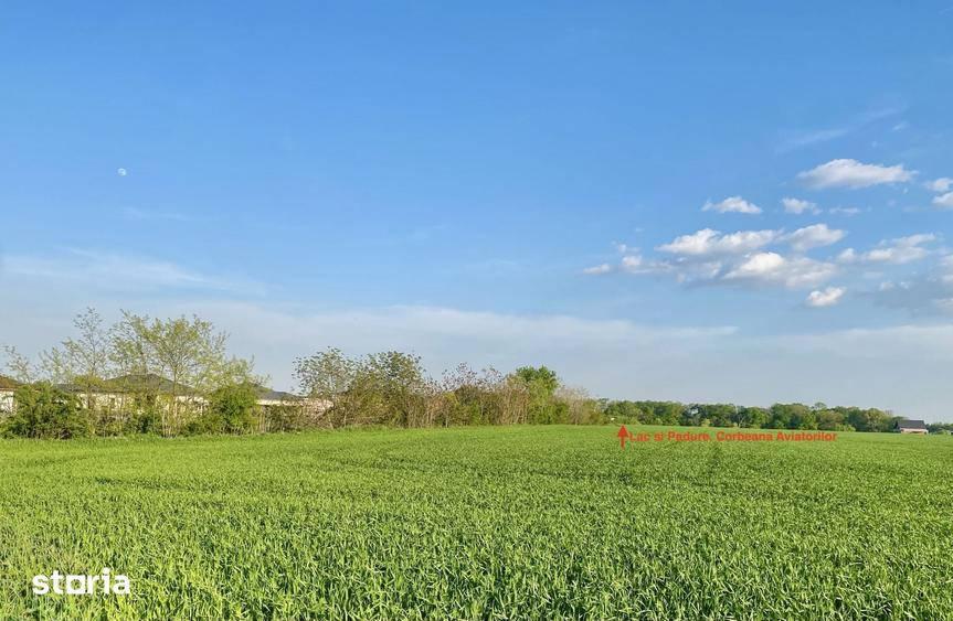 Teren de 670 mp, în Balotești