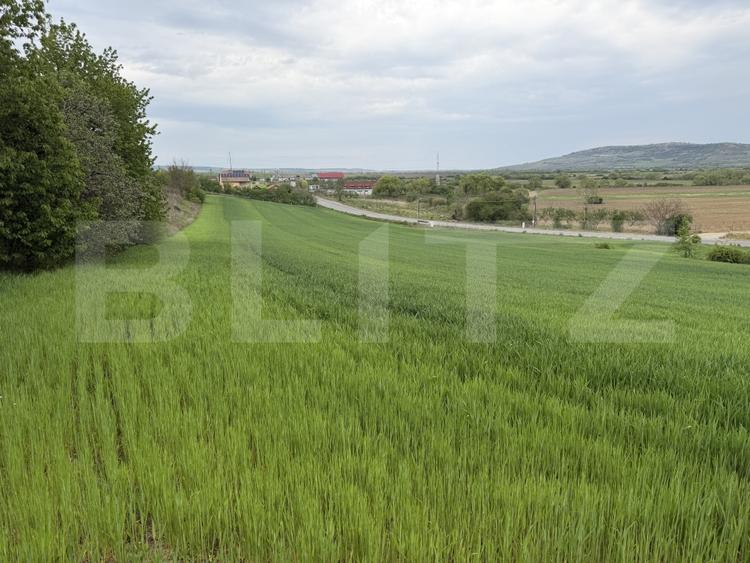 Teren Construcții intravilan de 12500 mp, în Bobota