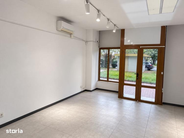 Spațiu comercial, de 28 mp, în Alexandru cel Bun