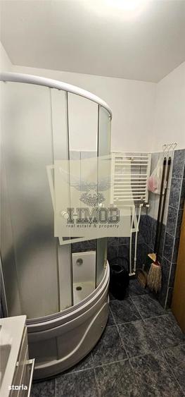 Apartament cu 2 camere, mobilat în Terezian