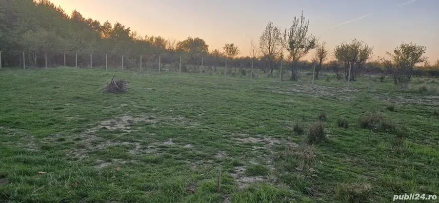 Vand teren intravilan - 4