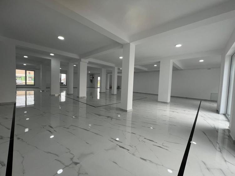 Spațiu comercial, de 250 mp, în Dumbrăvița