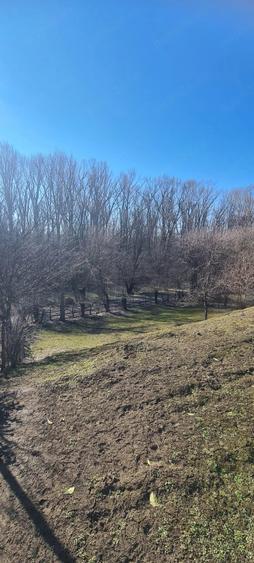 Teren intravilan de vanzare .Pozi?ie ultra ! - 8